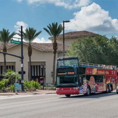 Review Special Price City Sightseeing Orlando Hop On Hop Off Tour Plus Theme Park Shuttle Express Option