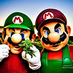 luigi - ilie + rocket