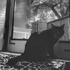 deep techno so heavy you forget about the inevitable heat death of the universe