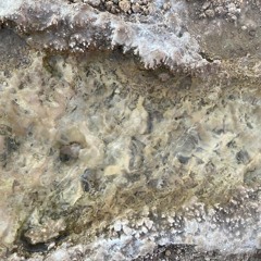 Farmers Of Future Presents Essere Con 30-09-2024