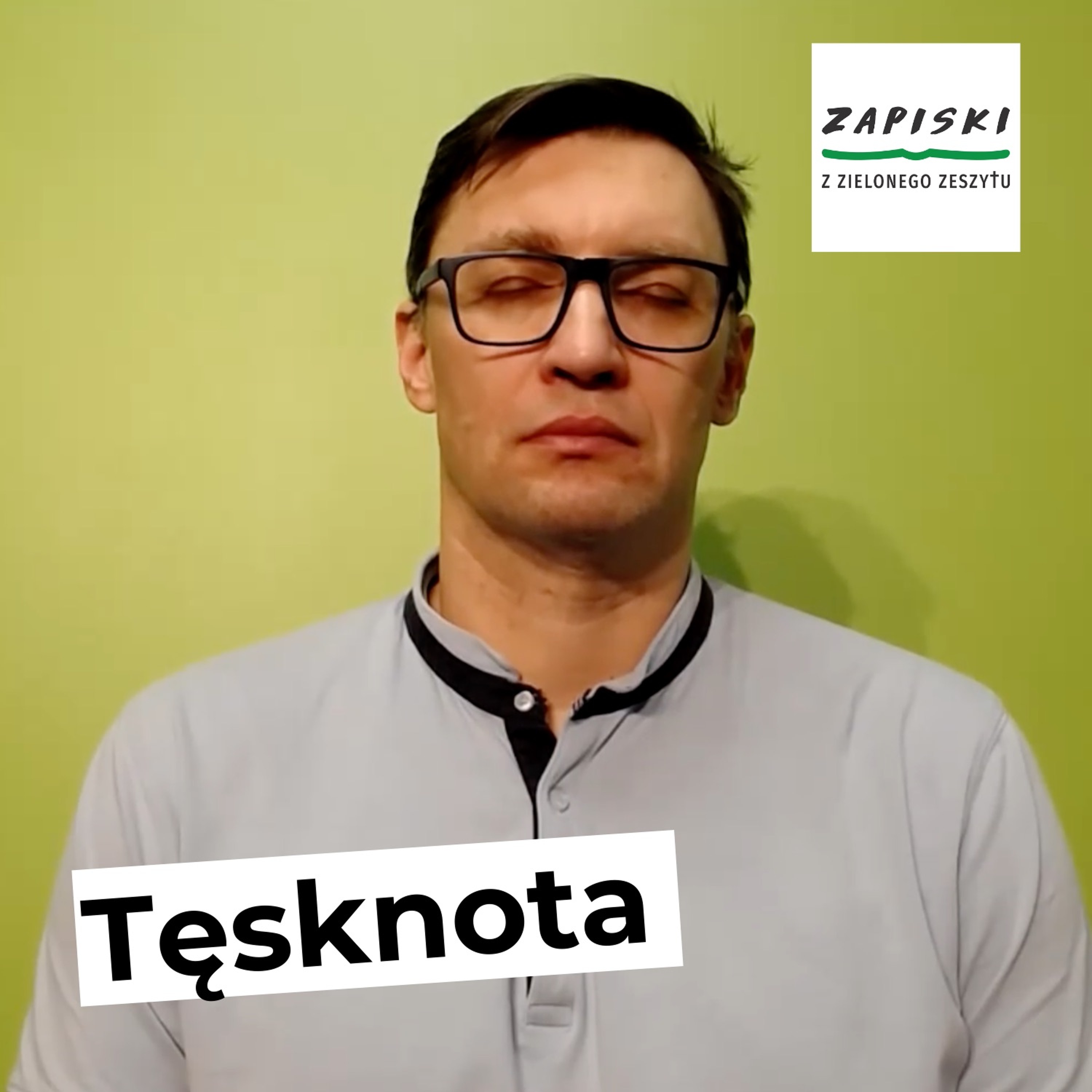 Zapiski z zielonego zeszytu