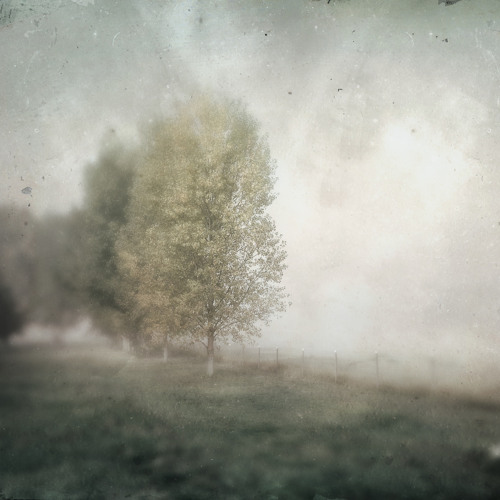 Exit wounds