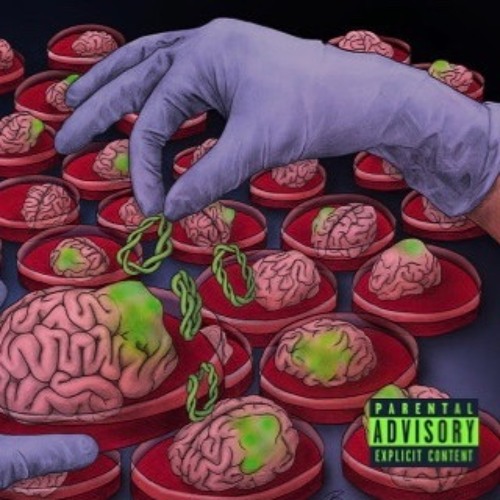 Brains