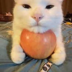 Apple (REUPLOADED)