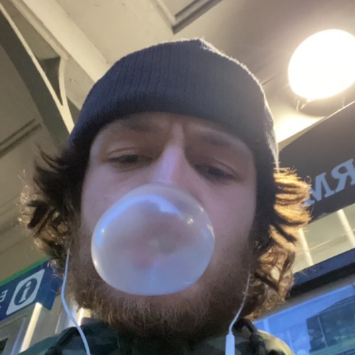 bluntashell