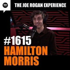 The Joe Rogan Experience JRE #1615 - Hamilton Morris