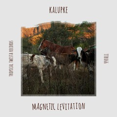 kalupke - Appetence For Cookies