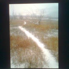 melted snow