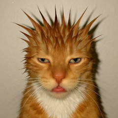 ghetto session | OFB b2b rote Swesda