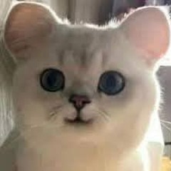 I Can't Feel No Better - Mix Banh Nóc