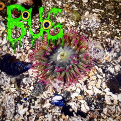 Bellingham Bay Feb. 6 2022