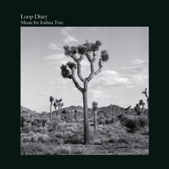 Loop Diary "Music for Joshua Tree" new album sample GRLP001