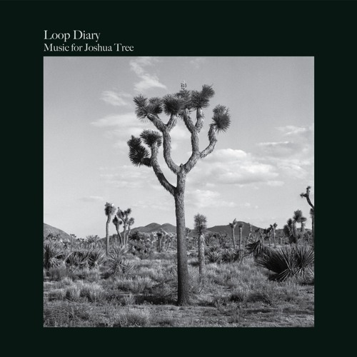 Loop Diary "Music for Joshua Tree" new album sample GRLP001