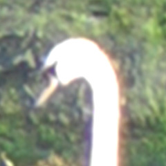 Ó Chroí - DDR Studio - 05.09.25