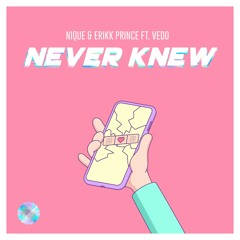 Never Knew w/ Erikk Prince feat. Vedo