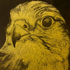 Singing to da cheese (prod.me)