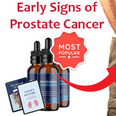 Prostadine (PROS OR CONS) — Really Work?
