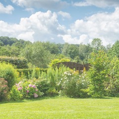 Journey to Your Sacred Garden