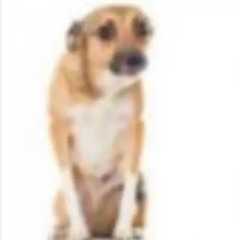 CDP ADMIN REDEMPTION. prod.punkstar