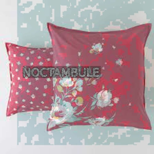 Noctambule48k Session 2024 - 01 - 01