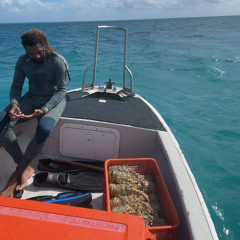 ᴅᴀɴɪᴇʟ ʙɪʟɪᴘ - ᴡᴀɪᴛ ɪɢᴏ ʀᴍx 🇵🇬🎼