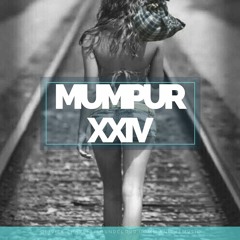 MuMPuR XXIV