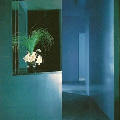 HOUSEPLANT w/SHADOWSTAR
