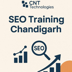 Get Certified with the Best SEO Training Chandigarh Only at CNT Technologies