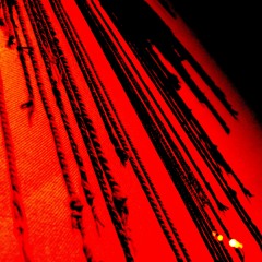 Micrography - live recording