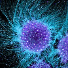 REA-EAL VIXLA GEE FT ANDRE MARSS