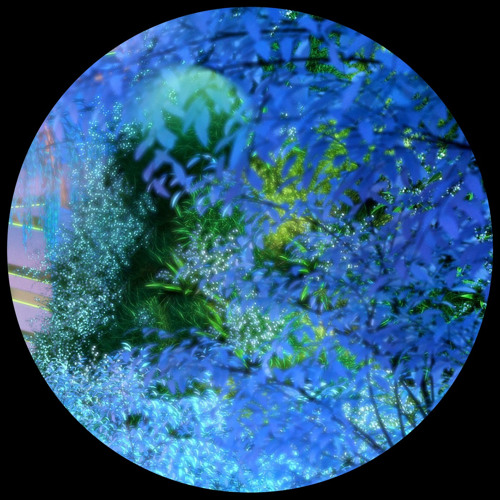 Sioc & Paul Copping - Wind