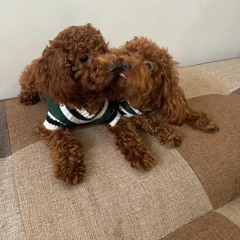 Breakbeat SpeciaL Req Mr.Mario & Mrs.Syifa Vol.05 - ApriNaLdy™