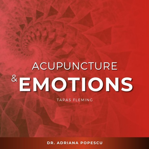 Accupuncture & Emotions - Kaleidoscope of Possibilities Episode 41