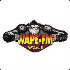NEW: Adult Contempory SS Series (WAPE) - Demo - Media General Broadcast Services