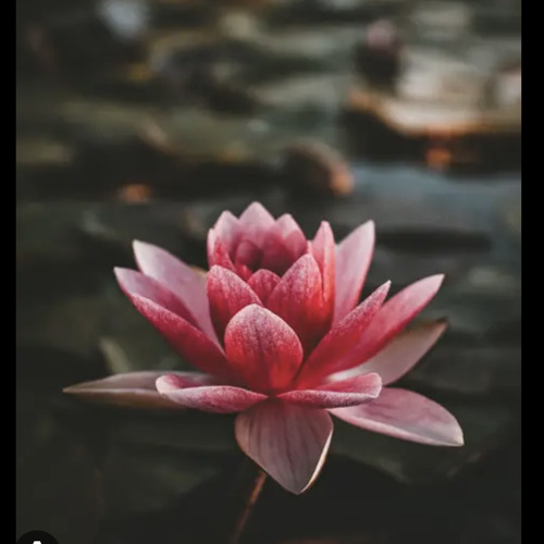 Endless Beauty 2k23 Eli x Walter