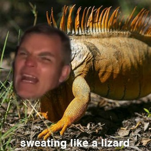 Sweating Like A Lizard