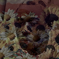 Noisedrainedfromsoul - see you again (tyler the creator cover)