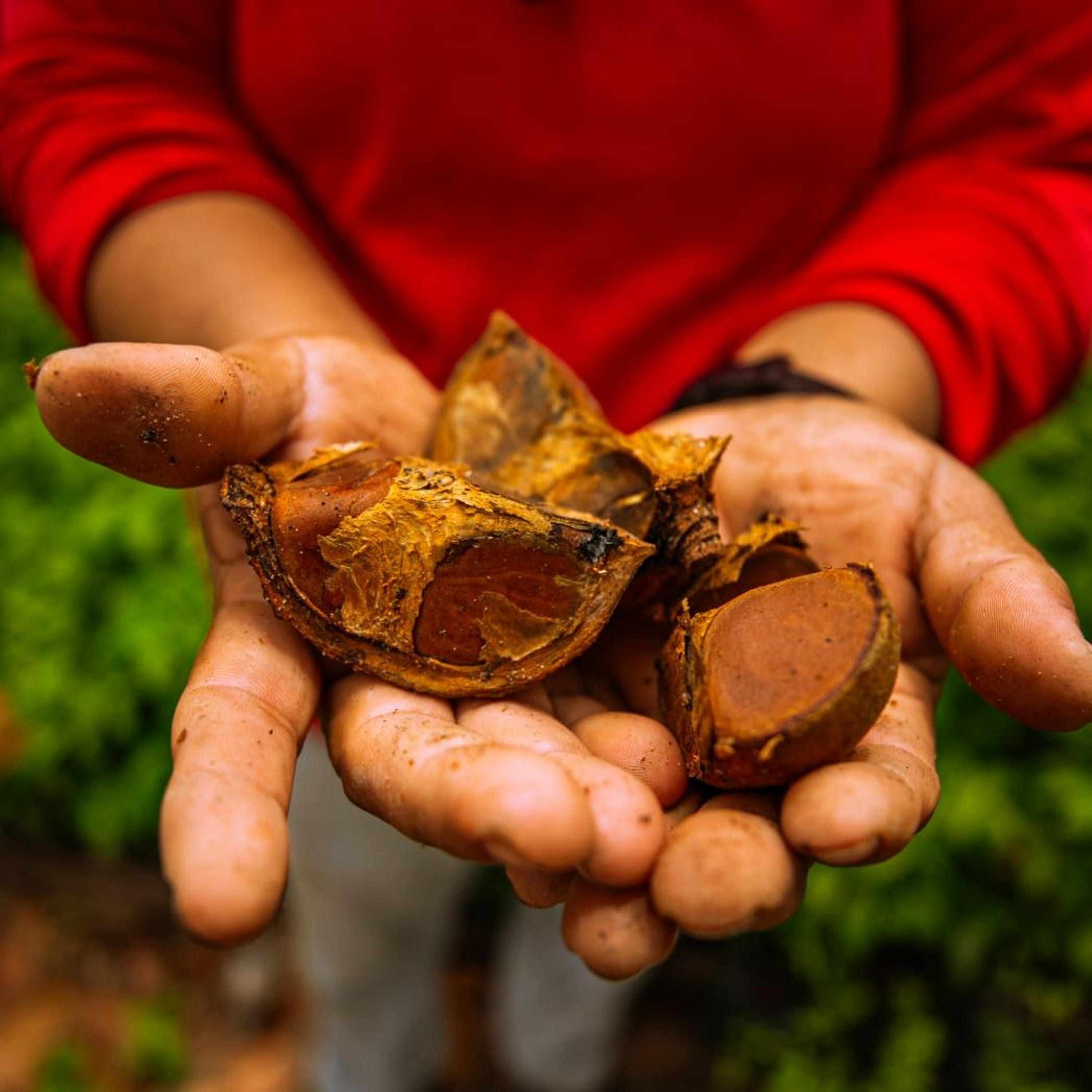 Alô 01/04: Mulheres Empreendedoras da Floresta anunciam projetos selecionados em edital