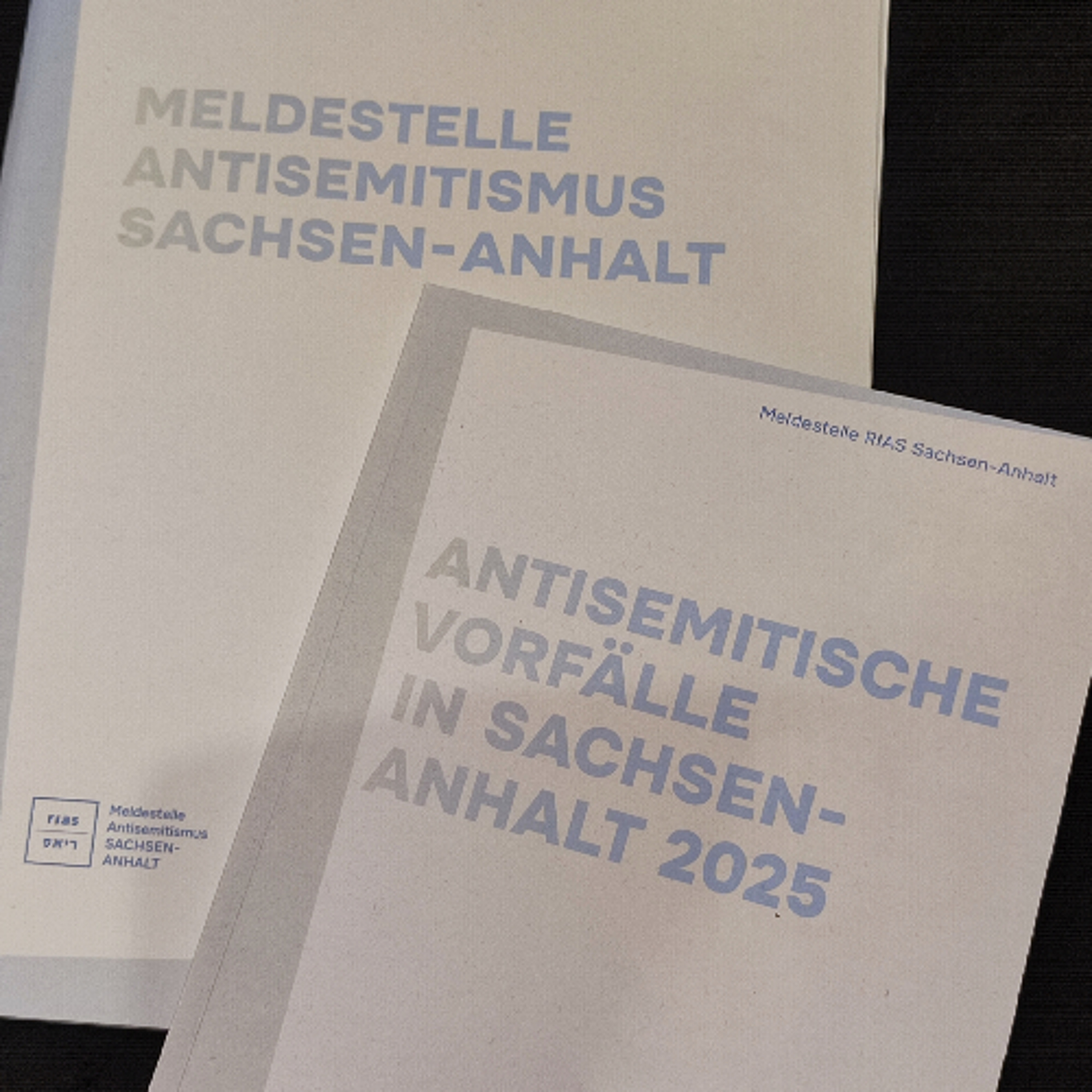 Vorgestellt: RIAS-Jahresbericht zu antisemitischen Vorfällen in Sachsen-Anhalt episode artwork