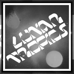Mirrors Vol. 36 | Lunar Tropics