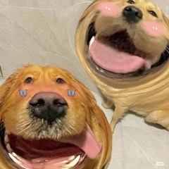 Hey là hey
