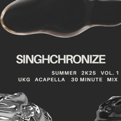 SUMMER 2K25 VOL. 1 - BIG MAN TING [UKG ACAPELLA 30 MINUTE MIX]