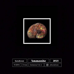 Ammonite