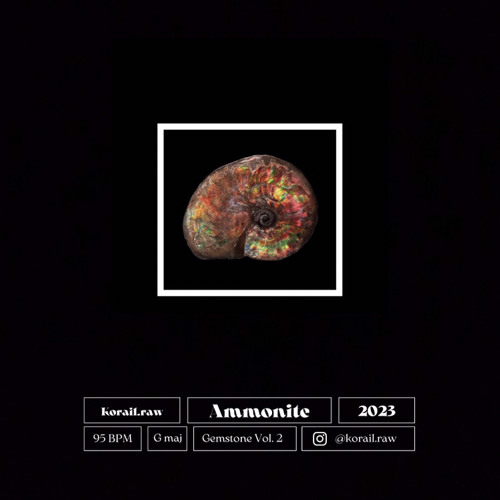 Ammonite
