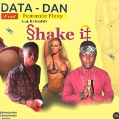 Datadan Shake it.mp3