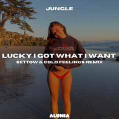 Jungle - Lucky I Got What I Want (Settow & Cold Feelings Remix) [Afro House]