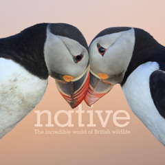 Chester Zoo - Native - Introduction