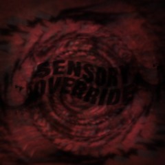 Sensory Override