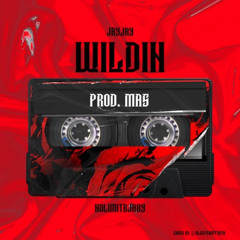 Wildin (ft. Nolimitbjaay)
