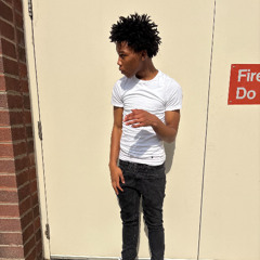 trelly - stix (wdym) (chris finesse exclusives)